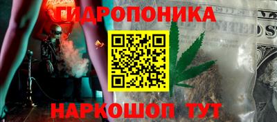 мдпв Гусев