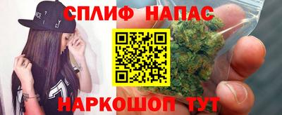 мдпв Гусев